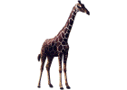 girafo